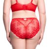 D21070R_FLORADORA_HI_CUT_BRIEF_FLAME_02