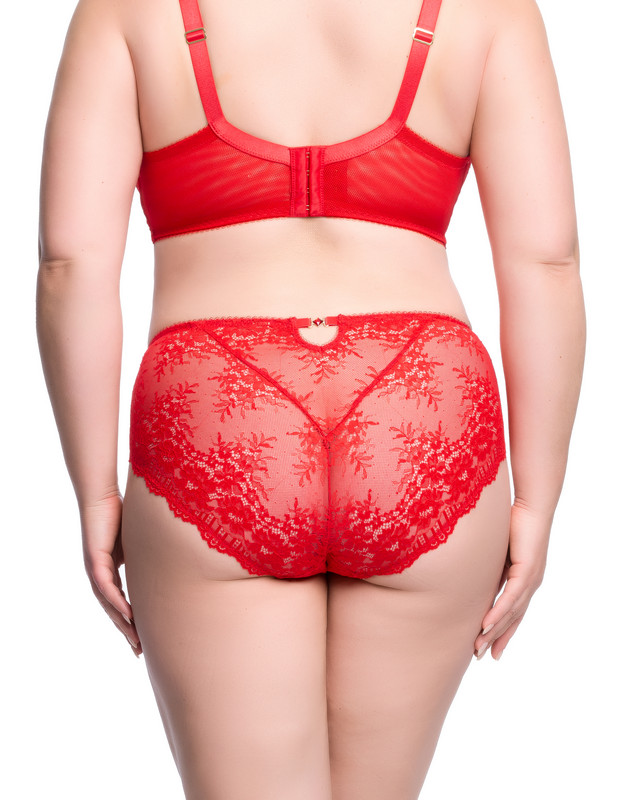 D21070R_FLORADORA_HI_CUT_BRIEF_FLAME_02