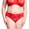 D21070R_FLORADORA_HI_CUT_BRIEF_FLAME_CR
