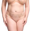 D21063_FORTUNIA_HI_CUT_BRIEF_VINTAGE_CR