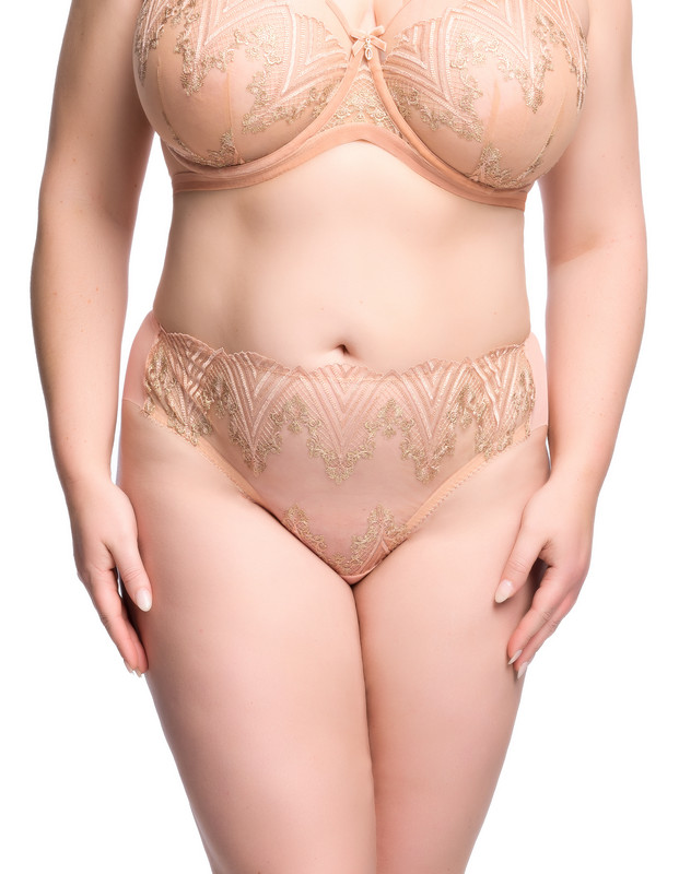 D21063_FORTUNIA_HI_CUT_BRIEF_VINTAGE_CR